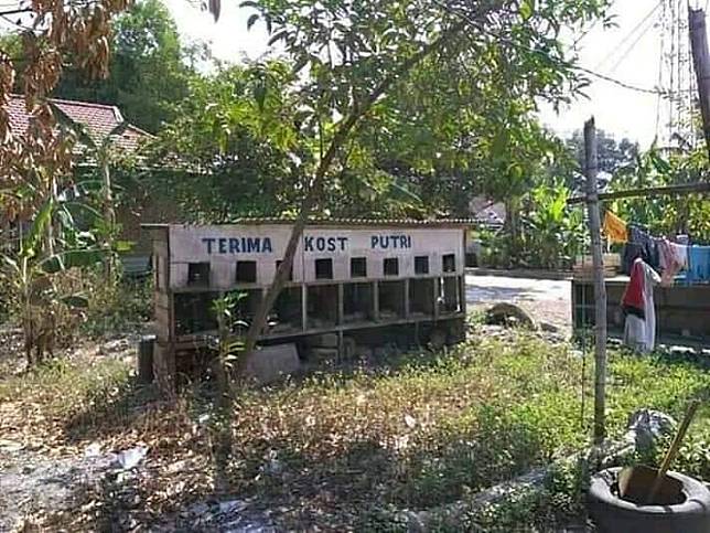 Bikin Otak Kerja Keras